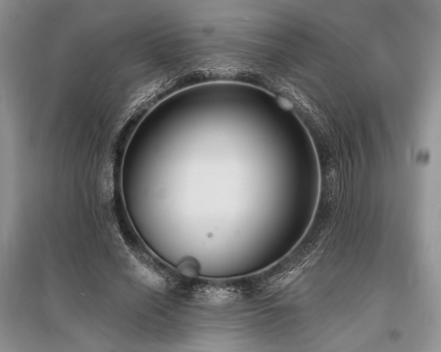X0000096390638200801241303