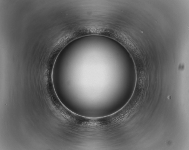 X0000096390639200801241303