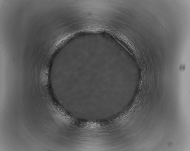 X0000096390640200801241303