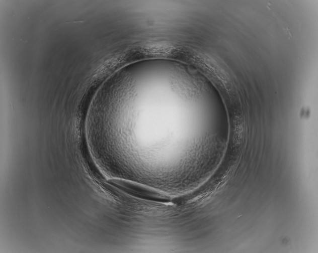 X0000096390641200801241303