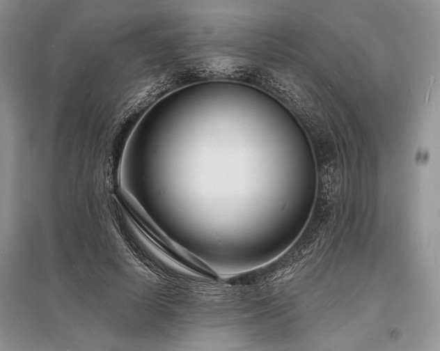 X0000096390642200801241303