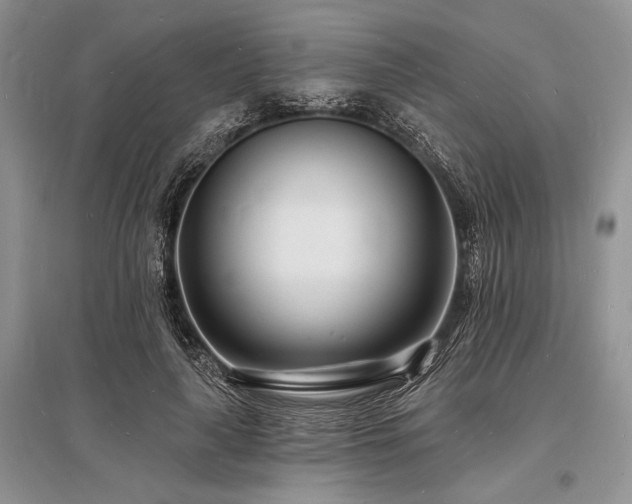 X0000096390643200801241303