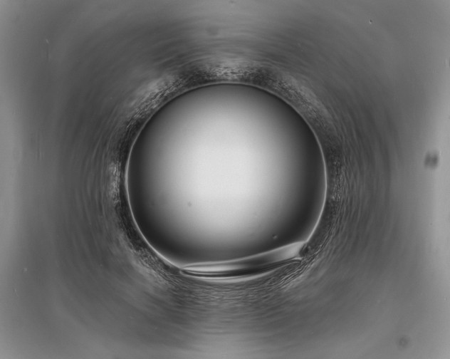 X0000096390646200801241303