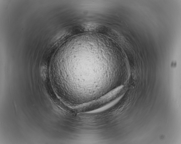 X0000096390648200801241303