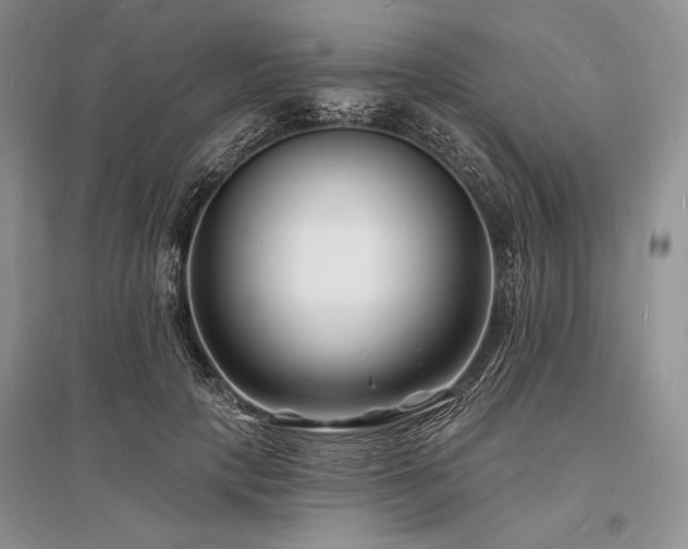 X0000096390649200801241303