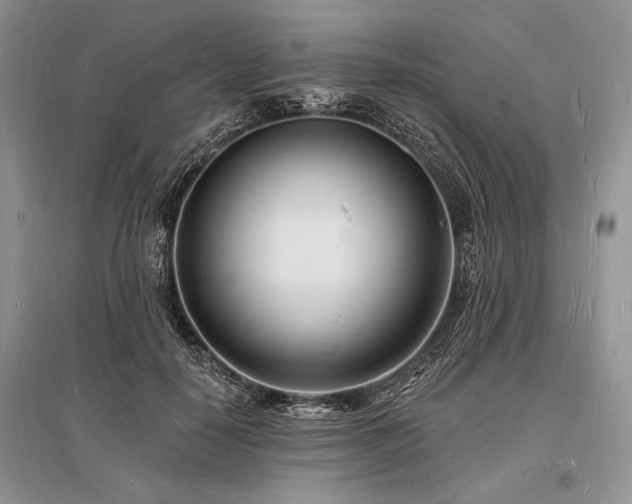 X0000096390650200801241303
