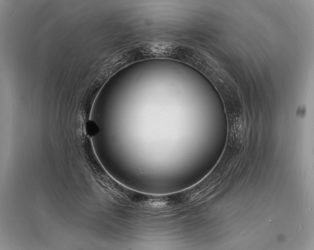 X0000096390651200801241303