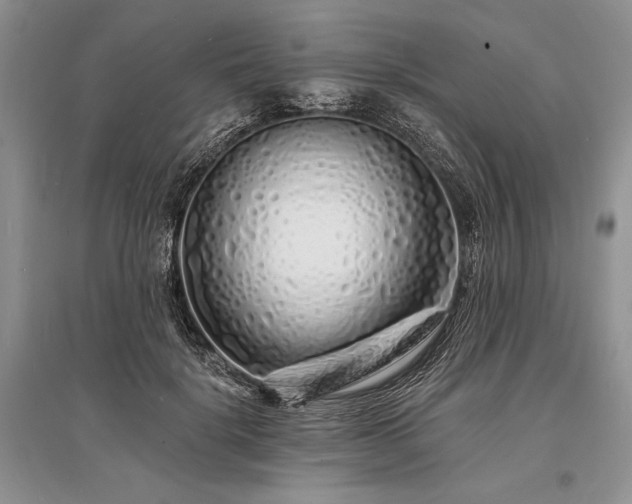 X0000096390652200801241303