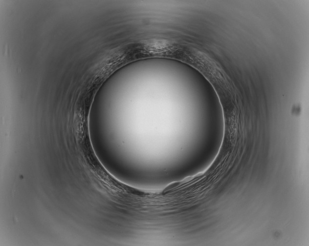 X0000096390653200801241303