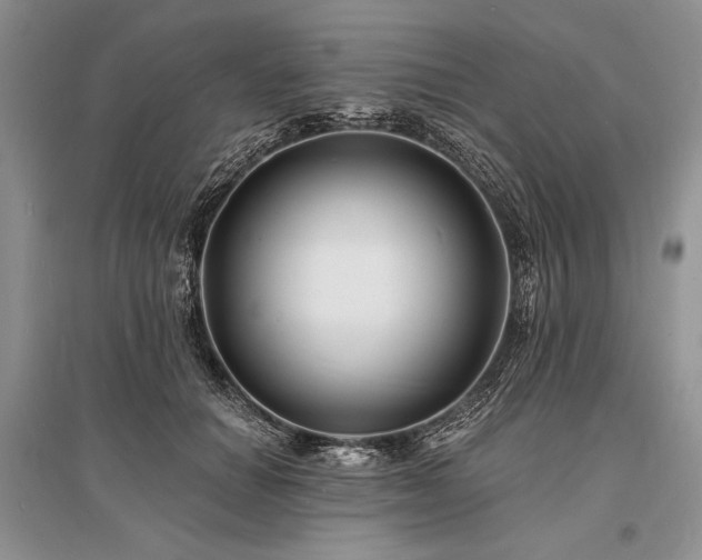 X0000096390654200801241303