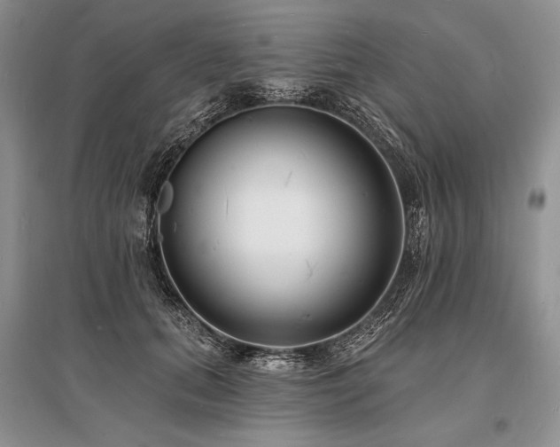 X0000096390655200801241303