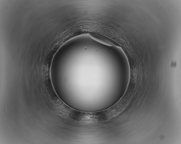 X0000096390657200801241303