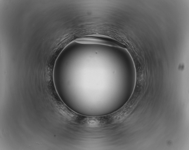 X0000096390658200801241303