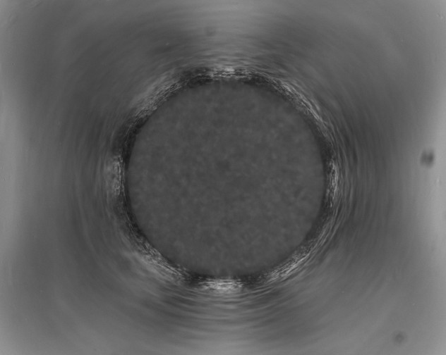 X0000096390659200801241303