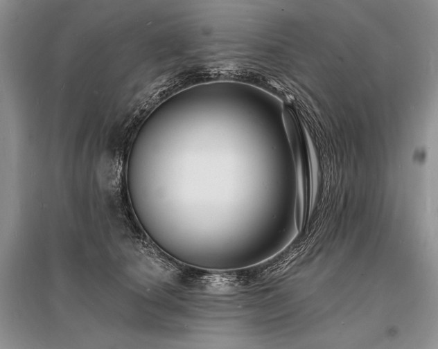 X0000096390660200801241303