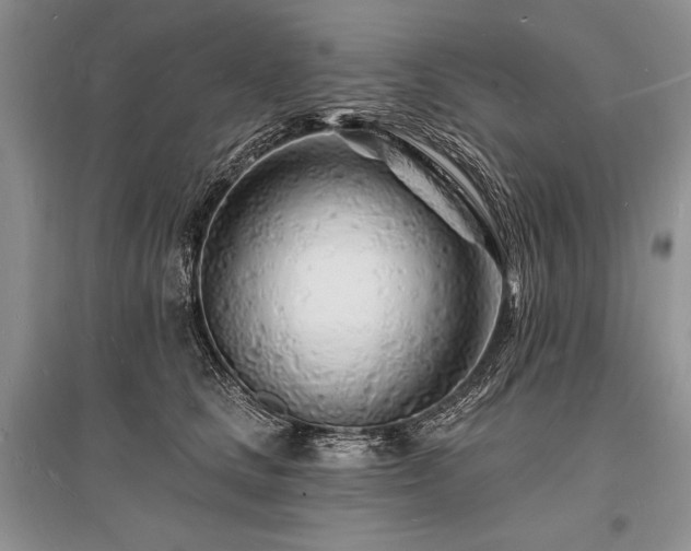 X0000096390661200801241303