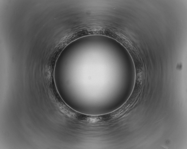 X0000096390662200801241303