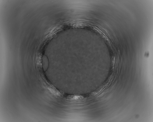 X0000096390663200801241303