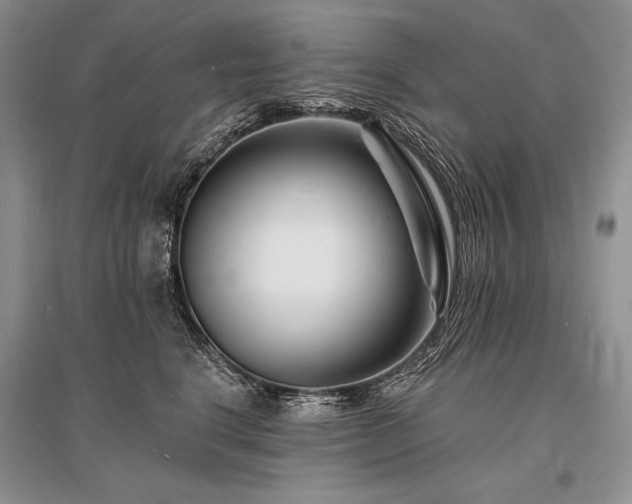X0000096390664200801241303