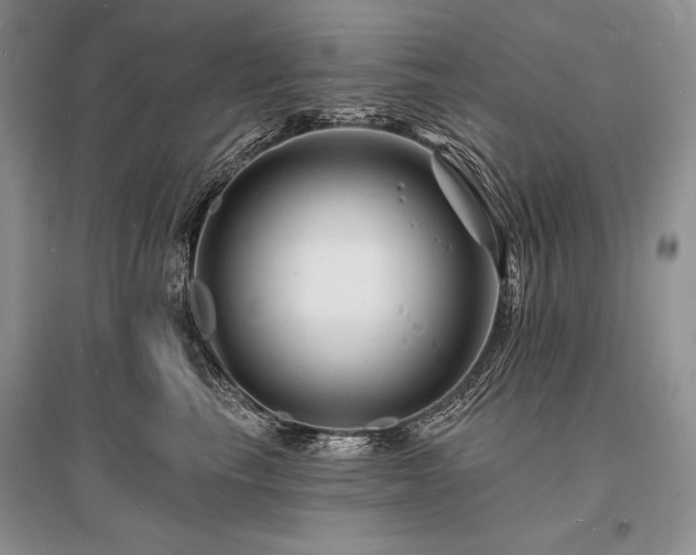 X0000096390665200801241303