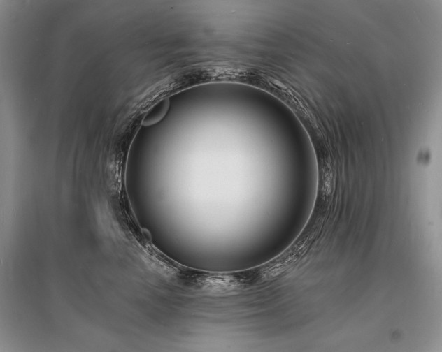 X0000096390666200801241303