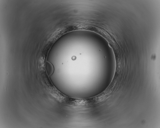 X0000096390667200801241303