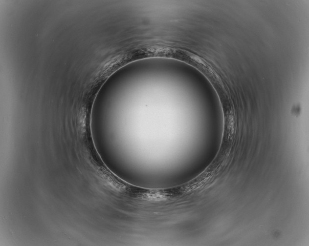 X0000096390668200801241303