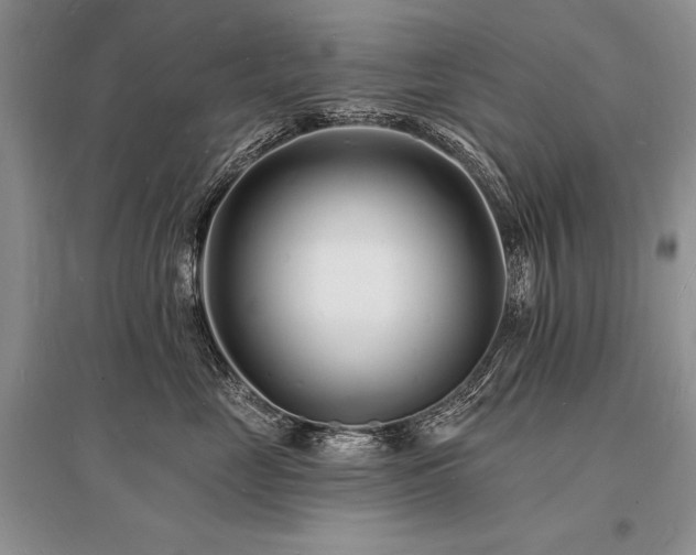 X0000096390669200801241303