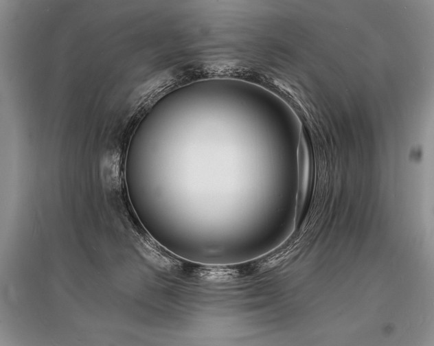 X0000096390670200801241303