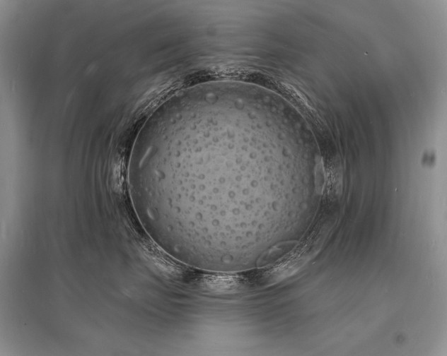 X0000096390671200801241303
