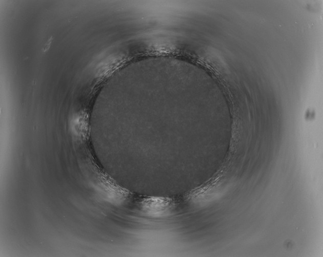X0000096390672200801241303