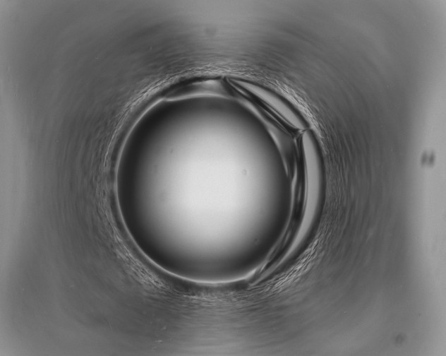 X0000096390673200801241302