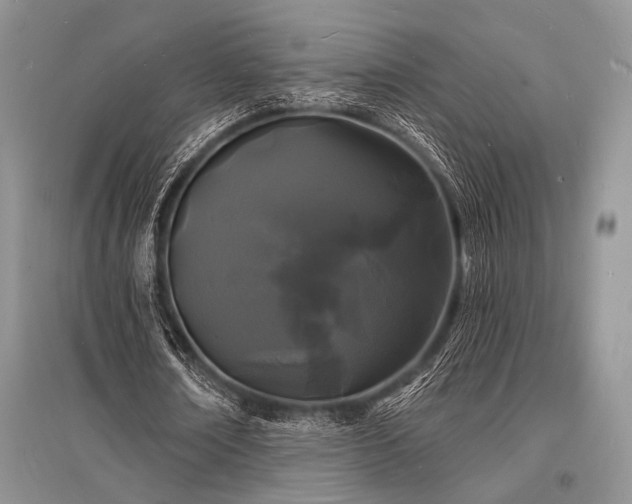 X0000096390674200801241302