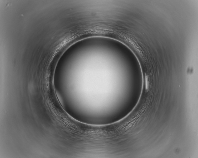 X0000096390675200801241302