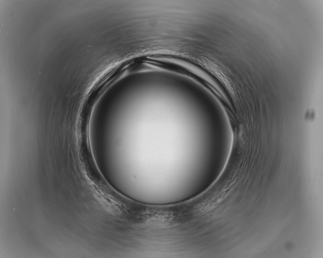 X0000096390676200801241302