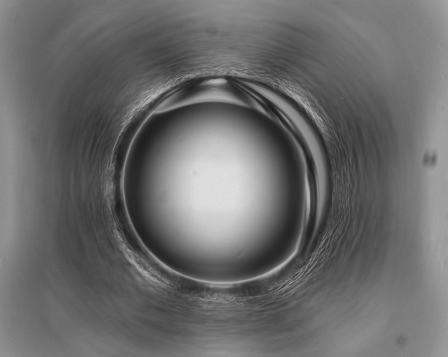X0000096390677200801241302