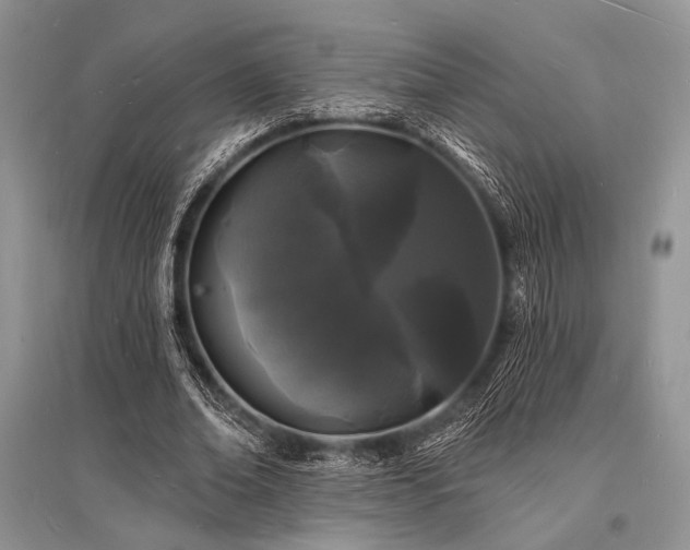X0000096390678200801241302