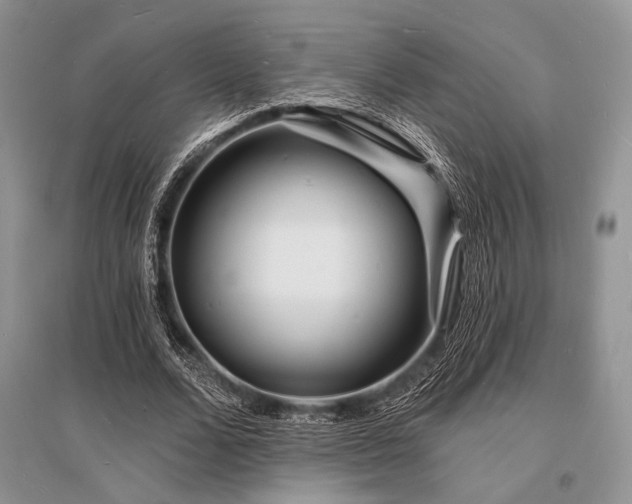 X0000096390680200801241302
