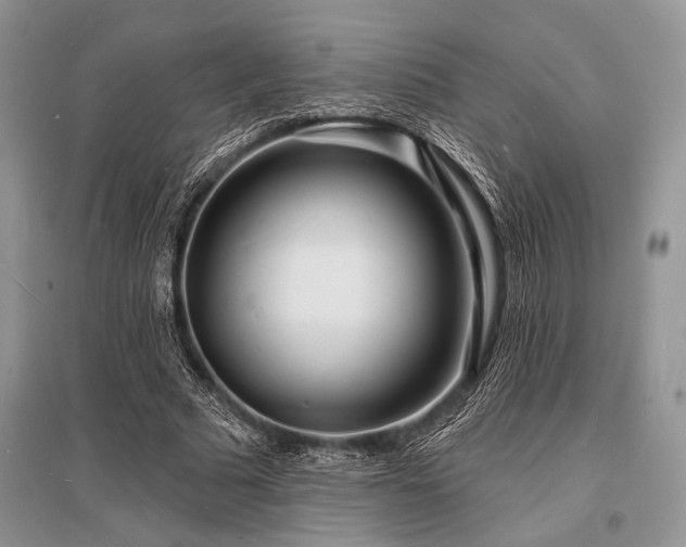 X0000096390681200801241302