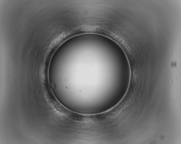 X0000096390682200801241302