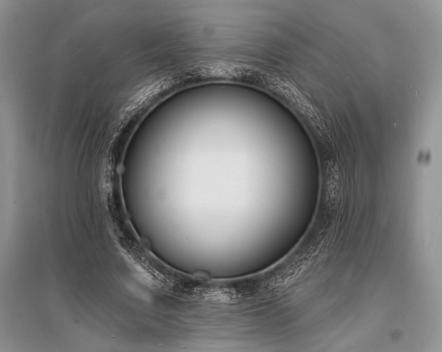 X0000096390683200801241302