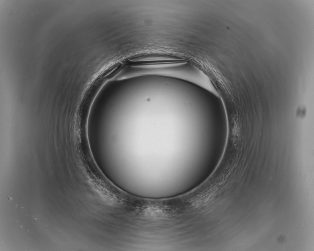 X0000096390684200801241302