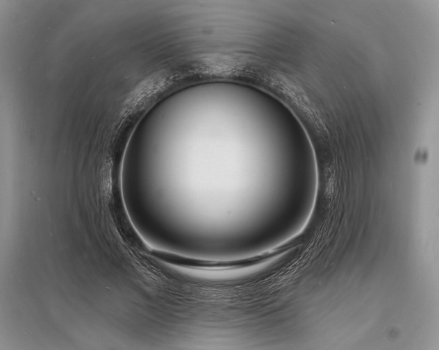 X0000096390685200801241302