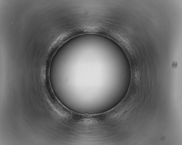 X0000096390686200801241302