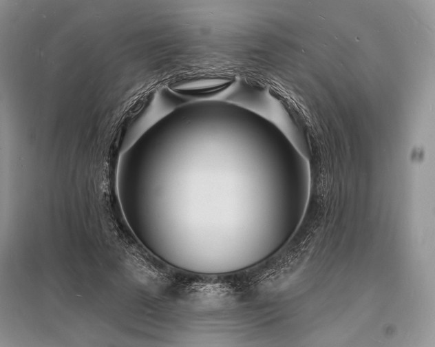 X0000096390689200801241302