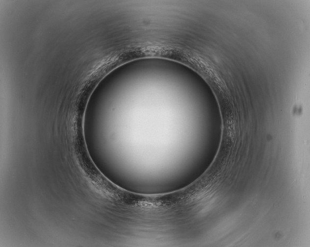 X0000096390690200801241302