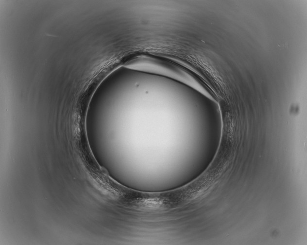 X0000096390692200801241302