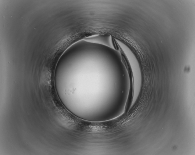 X0000096390693200801241302
