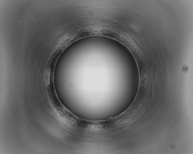 X0000096390694200801241302