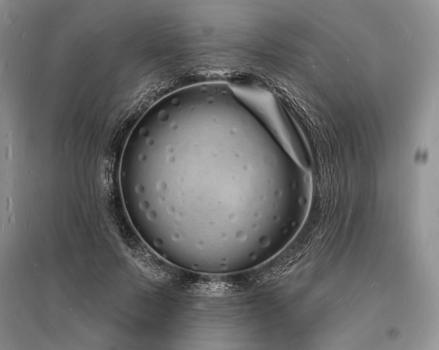 X0000096390695200801241302